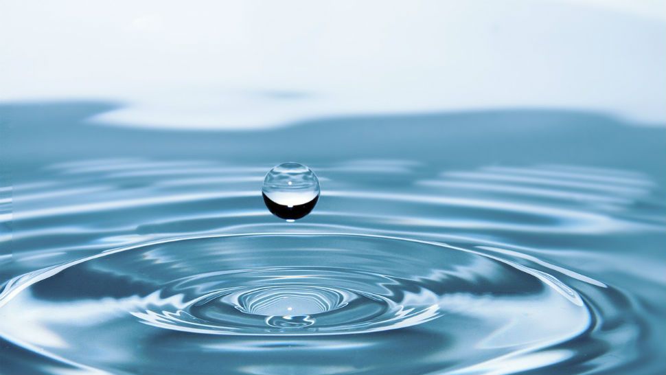 Machen Sie den Wasserscheck und schauen Sie wie sparsam oder verschwenderisch Sie sind.