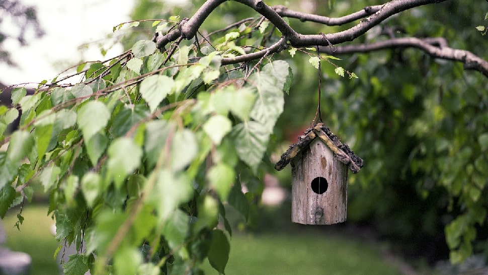 Simple Gartenideen Vogelhäuschen Simple Gartenideen Vogelhäuschen